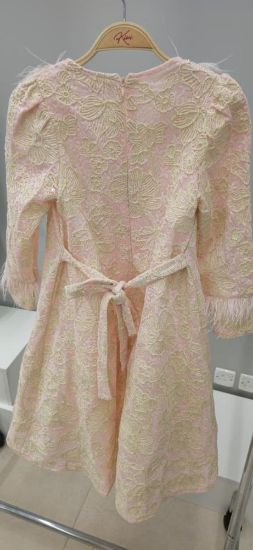 صورة فستان بيج جاكار فاخر بتطريز لؤلؤي وريش ناعم